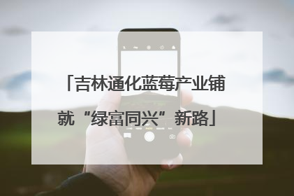 吉林通化蓝莓产业铺就“绿富同兴”新路