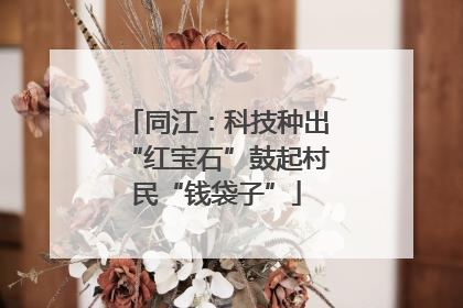 同江：科技种出“红宝石”鼓起村民“钱袋子”