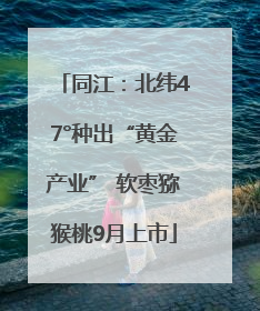 同江：北纬47°种出“黄金产业” 软枣猕猴桃9月上市