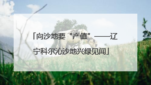 向沙地要“产值”——辽宁科尔沁沙地兴绿见闻