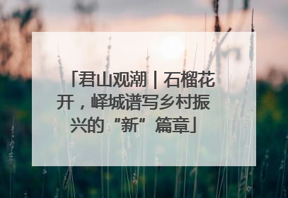 君山观潮｜石榴花开，峄城谱写乡村振兴的“新”篇章