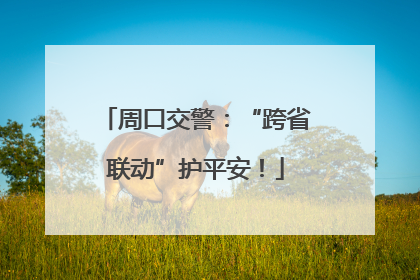 周口交警：“跨省联动”护平安！