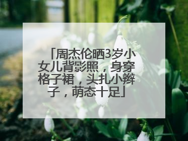 周杰伦晒3岁小女儿背影照，身穿格子裙，头扎小辫子，萌态十足
