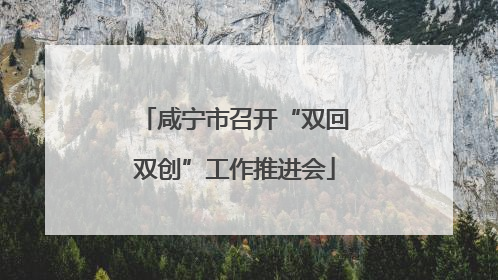 咸宁市召开“双回双创”工作推进会