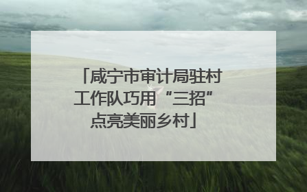 咸宁市审计局驻村工作队巧用“三招”点亮美丽乡村