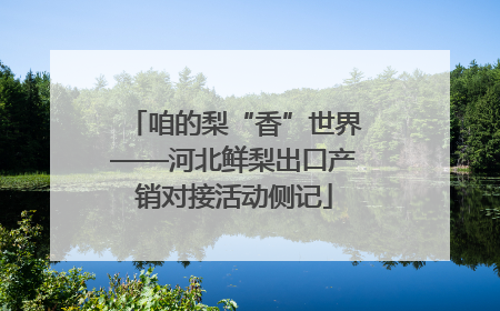 咱的梨“香”世界——河北鲜梨出口产销对接活动侧记