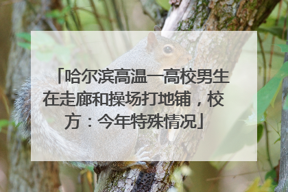 哈尔滨高温一高校男生在走廊和操场打地铺，校方：今年特殊情况