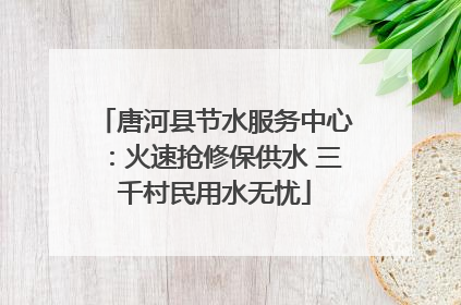唐河县节水服务中心：火速抢修保供水 三千村民用水无忧