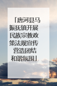 唐河县马振抚镇开展民族宗教政策法规宣传 营造团结和谐氛围