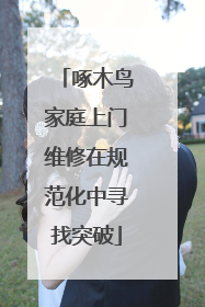 啄木鸟家庭上门维修在规范化中寻找突破