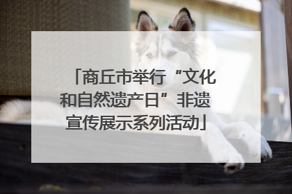 商丘市举行“文化和自然遗产日”非遗宣传展示系列活动
