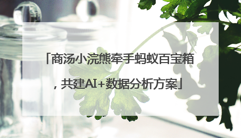 商汤小浣熊牵手蚂蚁百宝箱，共建AI+数据分析方案