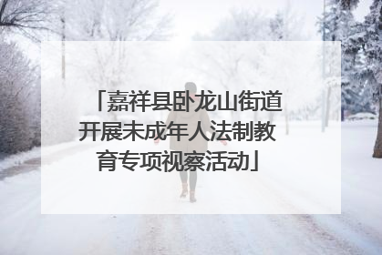 嘉祥县卧龙山街道开展未成年人法制教育专项视察活动
