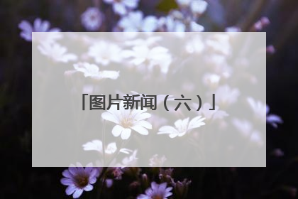 图片新闻（六）