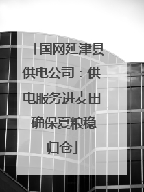 国网延津县供电公司：供电服务进麦田 确保夏粮稳归仓