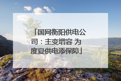 国网衡阳供电公司：主变增容 为度夏供电添保障