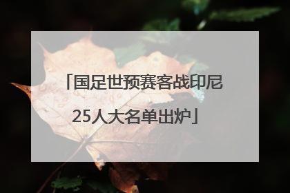 国足世预赛客战印尼25人大名单出炉