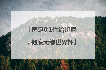 国足0:1输给印尼，彻底无缘世界杯