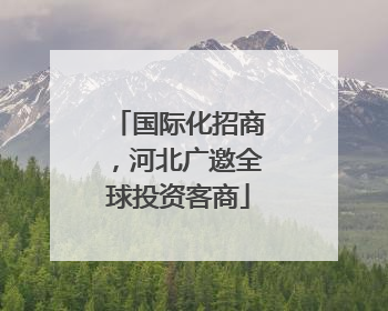 国际化招商，河北广邀全球投资客商