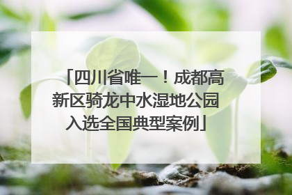 四川省唯一！成都高新区骑龙中水湿地公园入选全国典型案例