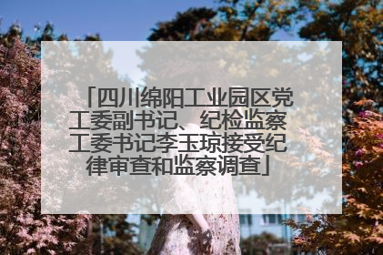 四川绵阳工业园区党工委副书记、纪检监察工委书记李玉琼接受纪律审查和监察调查