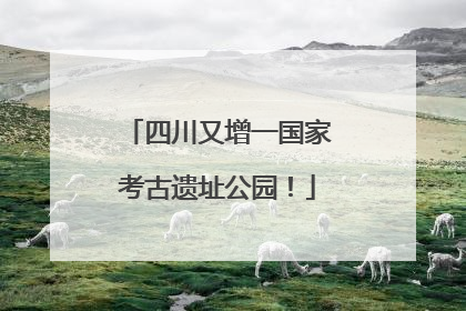 四川又增一国家考古遗址公园！