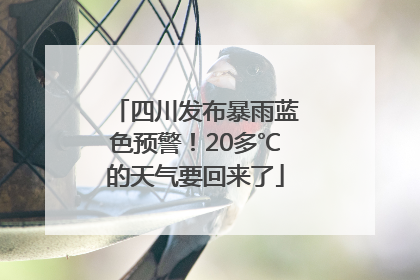 四川发布暴雨蓝色预警！20多℃的天气要回来了