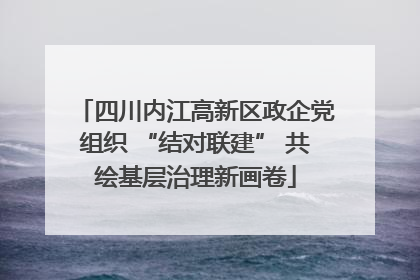 四川内江高新区政企党组织 “结对联建” 共绘基层治理新画卷