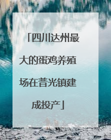 四川达州最大的蛋鸡养殖场在普光镇建成投产