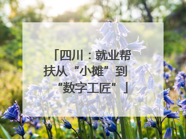 四川：就业帮扶从“小摊”到“数字工匠”