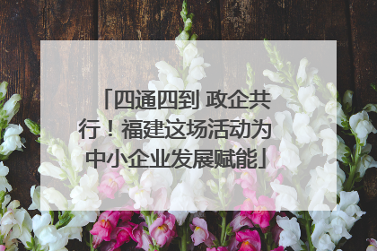 四通四到 政企共行！福建这场活动为中小企业发展赋能