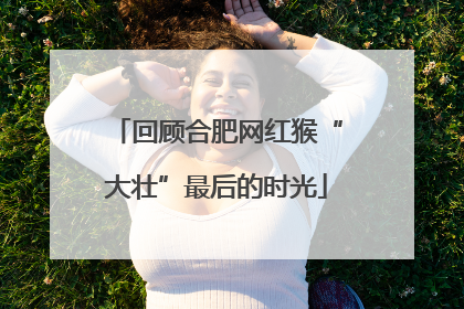 回顾合肥网红猴“大壮”最后的时光