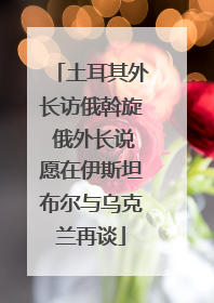 土耳其外长访俄斡旋 俄外长说愿在伊斯坦布尔与乌克兰再谈