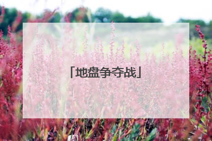 地盘争夺战