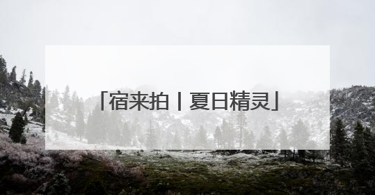宿来拍丨夏日精灵