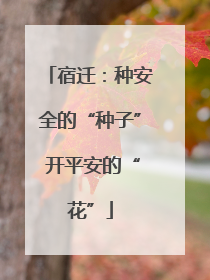 宿迁：种安全的“种子” 开平安的“花”