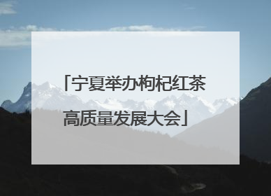 宁夏举办枸杞红茶高质量发展大会