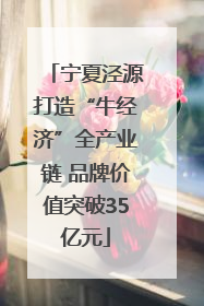 宁夏泾源打造“牛经济”全产业链 品牌价值突破35亿元