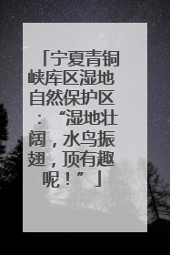 宁夏青铜峡库区湿地自然保护区：“湿地壮阔，水鸟振翅，顶有趣呢！”