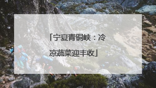 宁夏青铜峡：冷凉蔬菜迎丰收