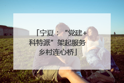宁夏：“党建+科特派”架起服务乡村连心桥