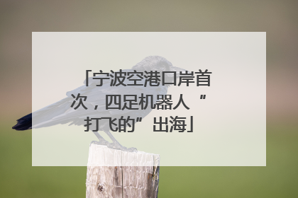 宁波空港口岸首次，四足机器人“打飞的”出海