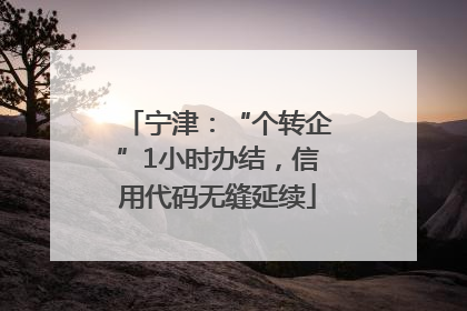 宁津：“个转企”1小时办结，信用代码无缝延续