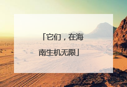 它们，在海南生机无限
