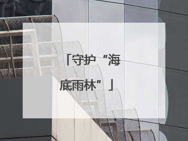 守护“海底雨林”