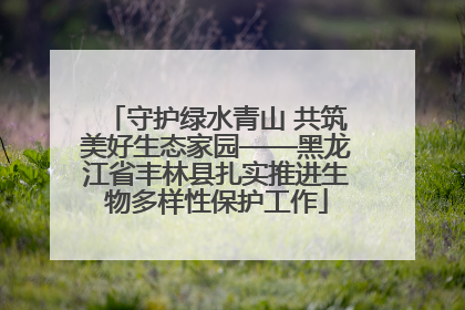 守护绿水青山 共筑美好生态家园——黑龙江省丰林县扎实推进生物多样性保护工作