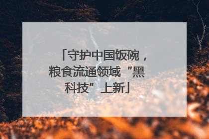 守护中国饭碗，粮食流通领域“黑科技”上新