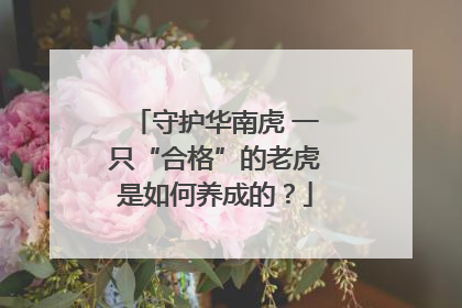 守护华南虎 一只“合格”的老虎是如何养成的？
