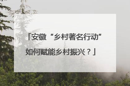 安徽“乡村著名行动”如何赋能乡村振兴？
