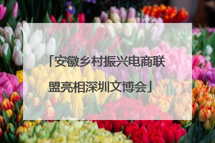 安徽乡村振兴电商联盟亮相深圳文博会